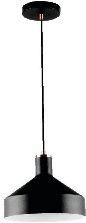 Lámpara Colgante Negra – DI-112-BK-Z