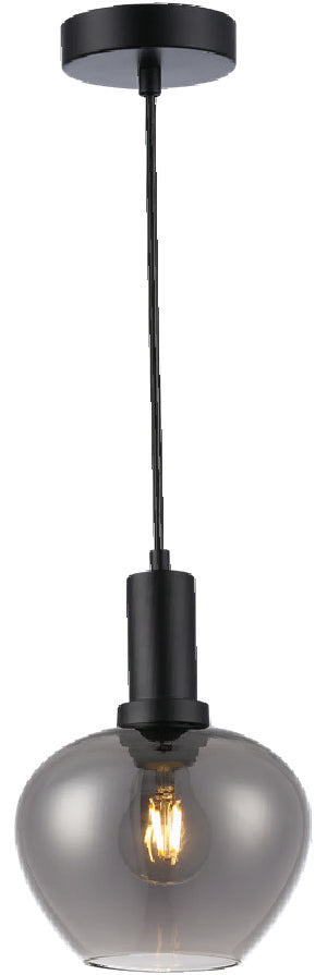 Lámpara Colgante Negra – DI-157-BK-Z