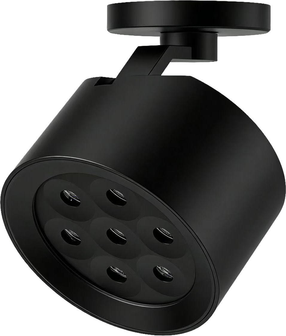 Spot de Techo Orientable Negro – DWL-13-BK15W-30K-Z