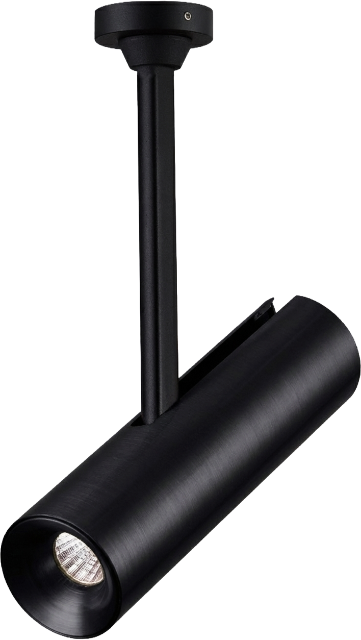 Spot de Techo Orientable Negro – DWL-14-BK15W-30K-Z